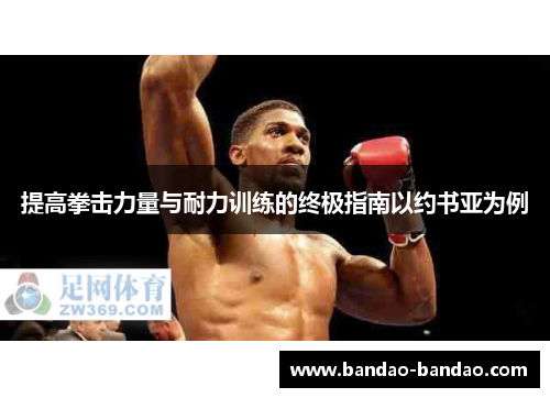 提高拳击力量与耐力训练的终极指南以约书亚为例