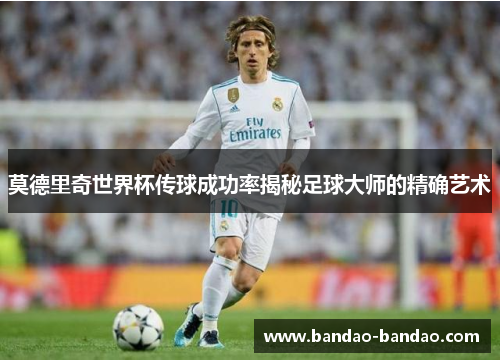 莫德里奇世界杯传球成功率揭秘足球大师的精确艺术