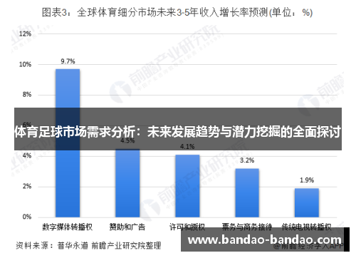 体育足球市场需求分析：未来发展趋势与潜力挖掘的全面探讨