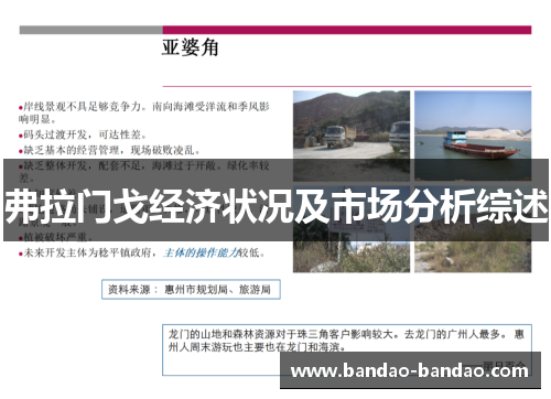 弗拉门戈经济状况及市场分析综述