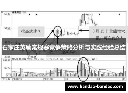 石家庄英励常规赛竞争策略分析与实践经验总结